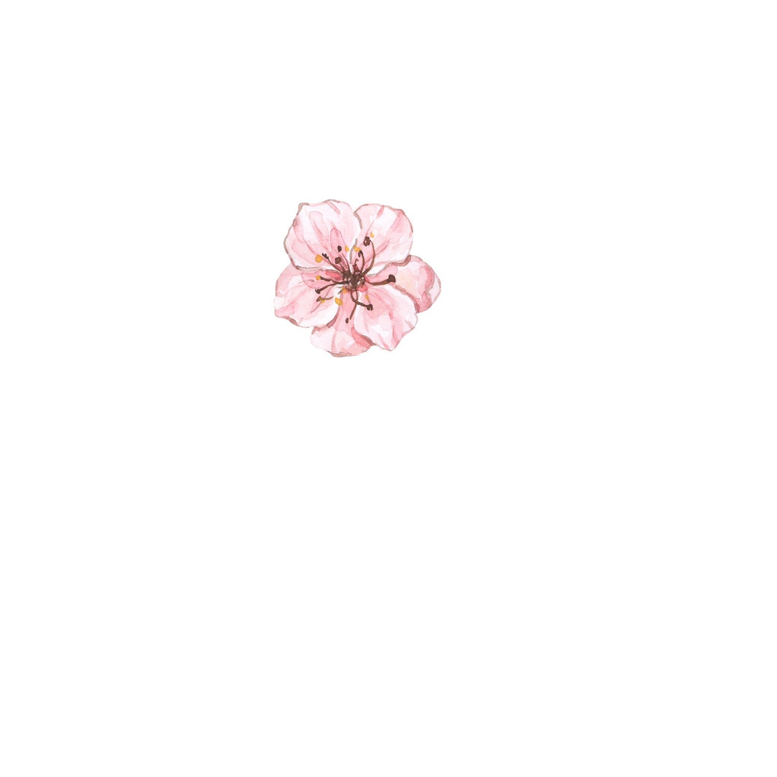 Rene Artistry | S.R. Johnson